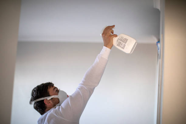 Best Attic Mold Remediation in Ardmore, OK