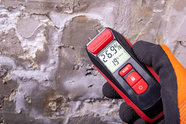 Best Health and Safety Mold Remediation in Ardmore, OK
