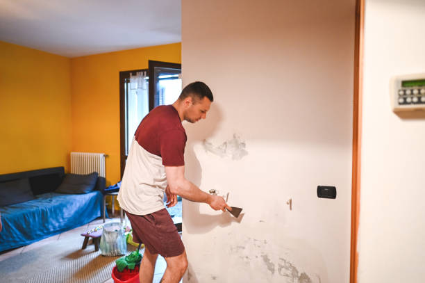 Best Basement Mold Remediation in Ardmore, OK